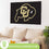 University of Colorado Single Sided Flag w/ 2 Grommets, 3'x5'