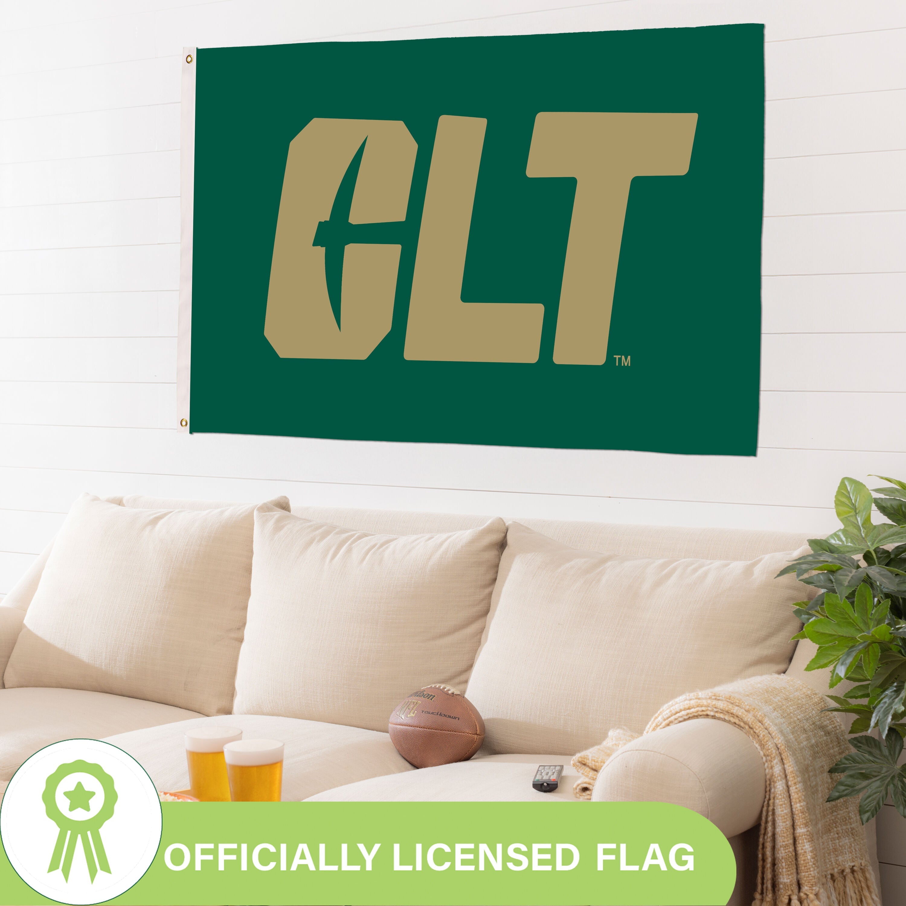 University of North Carolina, Charlotte Single Sided Flag w/ 2 Grommets, 3'x5'