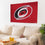 3'x5' Single Sided Flag w/ 2 Grommets, Carolina Hurricanes