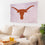 3'x5' Single Sided Flag w/ 2 Grommets, University of Texas