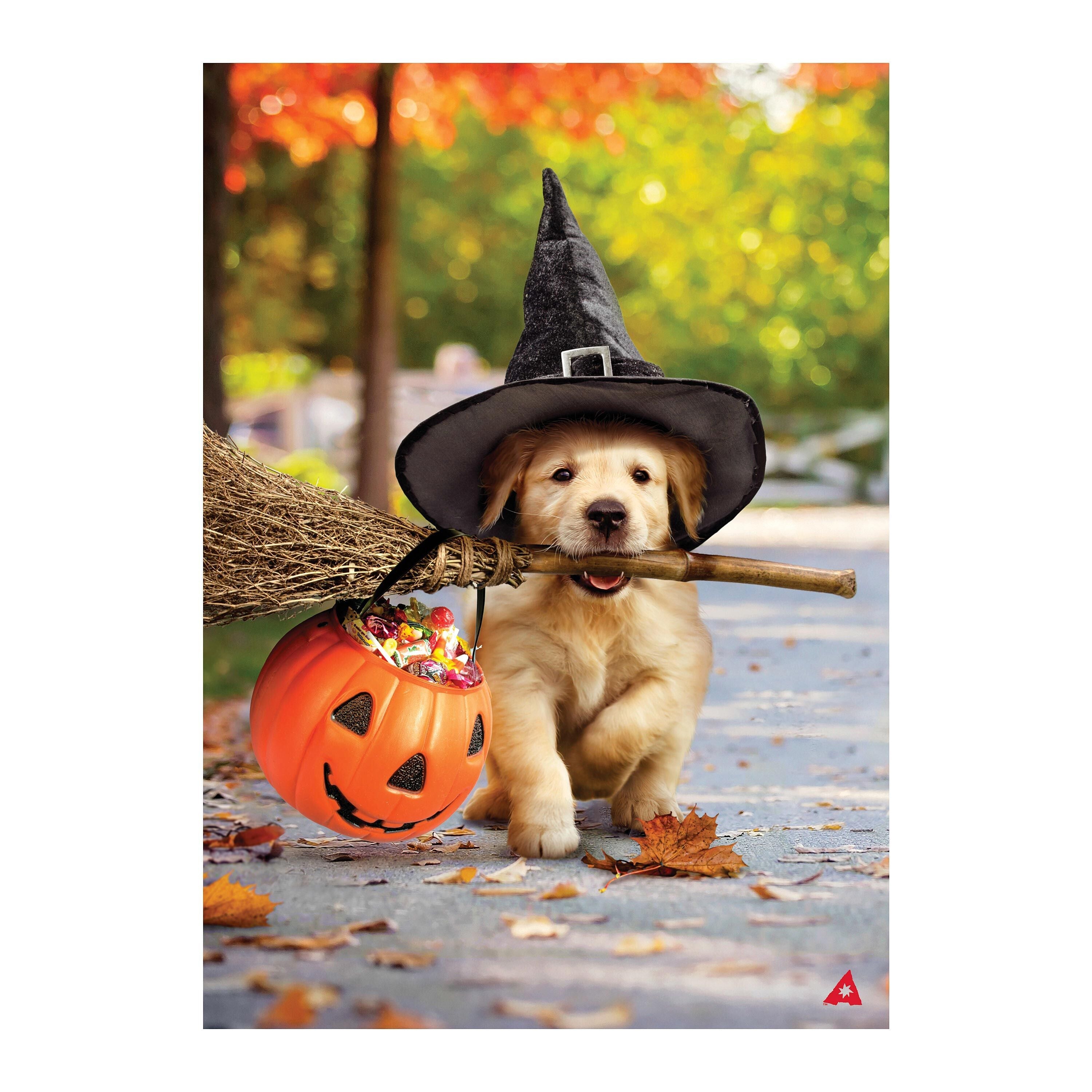 Goldens With Broom Suede Garden Flag