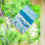 Seagulls On The Beach Suede House Flag - Sports Gifts, Sports Memorabilia, Sports Collectibles, Fan Shop