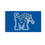 University of Memphis Single Sided Flag w/ 2 Grommets, 3'x5'