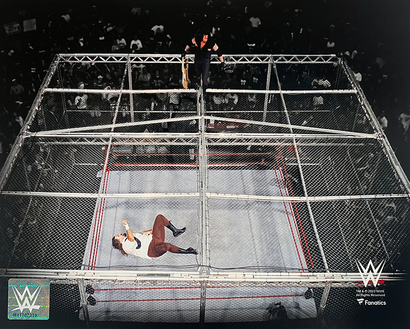 Mankind v. The Undertaker Hell in a Cell 8" x 10" WWE Wrestling Photo - Sports Collectibles, Sports Memorabilia, Sports Fan Shop, Sports Gifts
