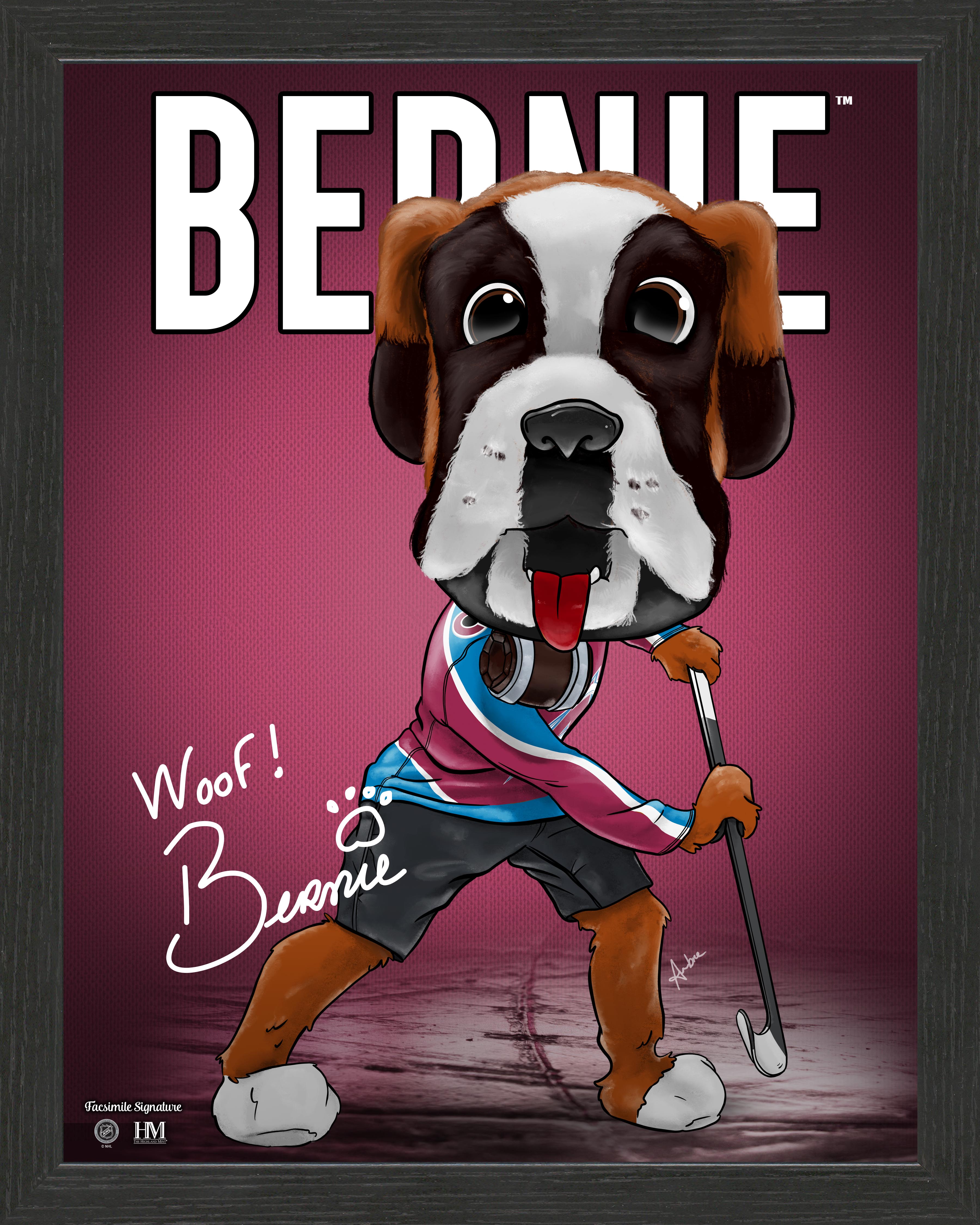 Colorado Avalanche Bernie Framed Dynamo - Sports Collectibles, Sports Memorabilia, Sports Fan Shop, Sports Gifts