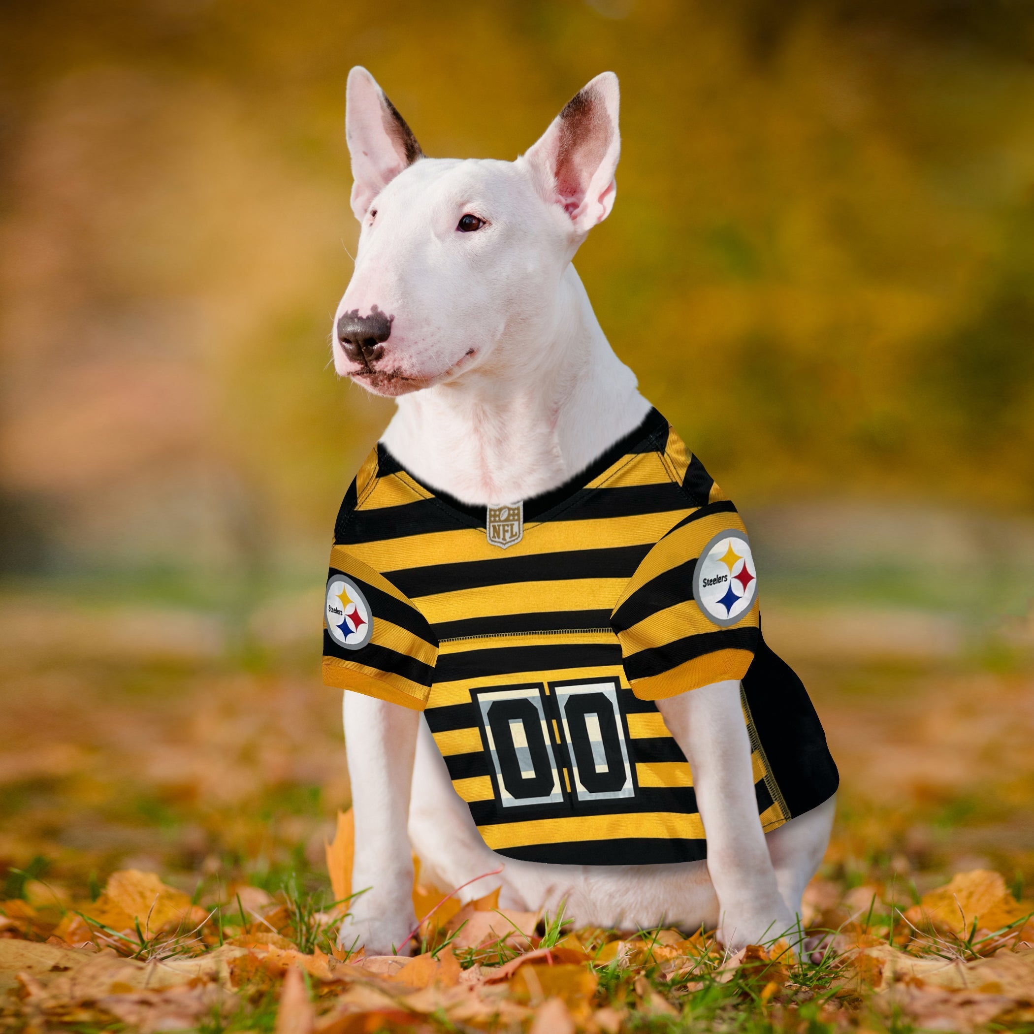 Pittsburgh Steelers Bumble Bee Throwback Jersey - Sports Collectibles, Sports Memorabilia, Sports Fan Shop, Sports Gifts