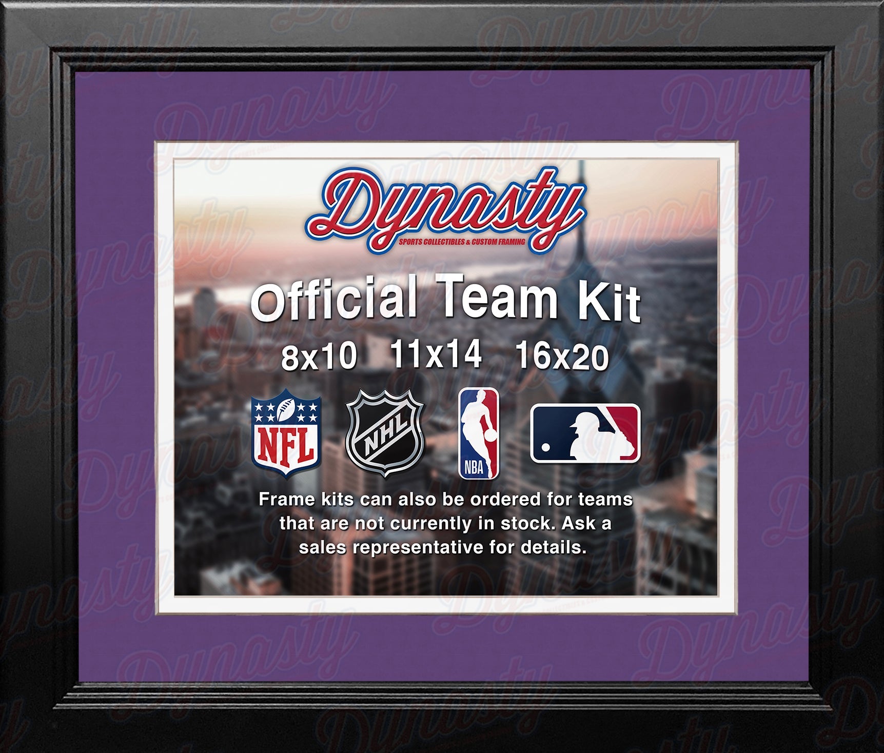 NBA Basketball Photo Picture Frame Kit - Charlotte Hornets (Purple Matting, White Trim) - Sports Collectibles, Sports Memorabilia, Sports Fan Shop, Sports Gifts
