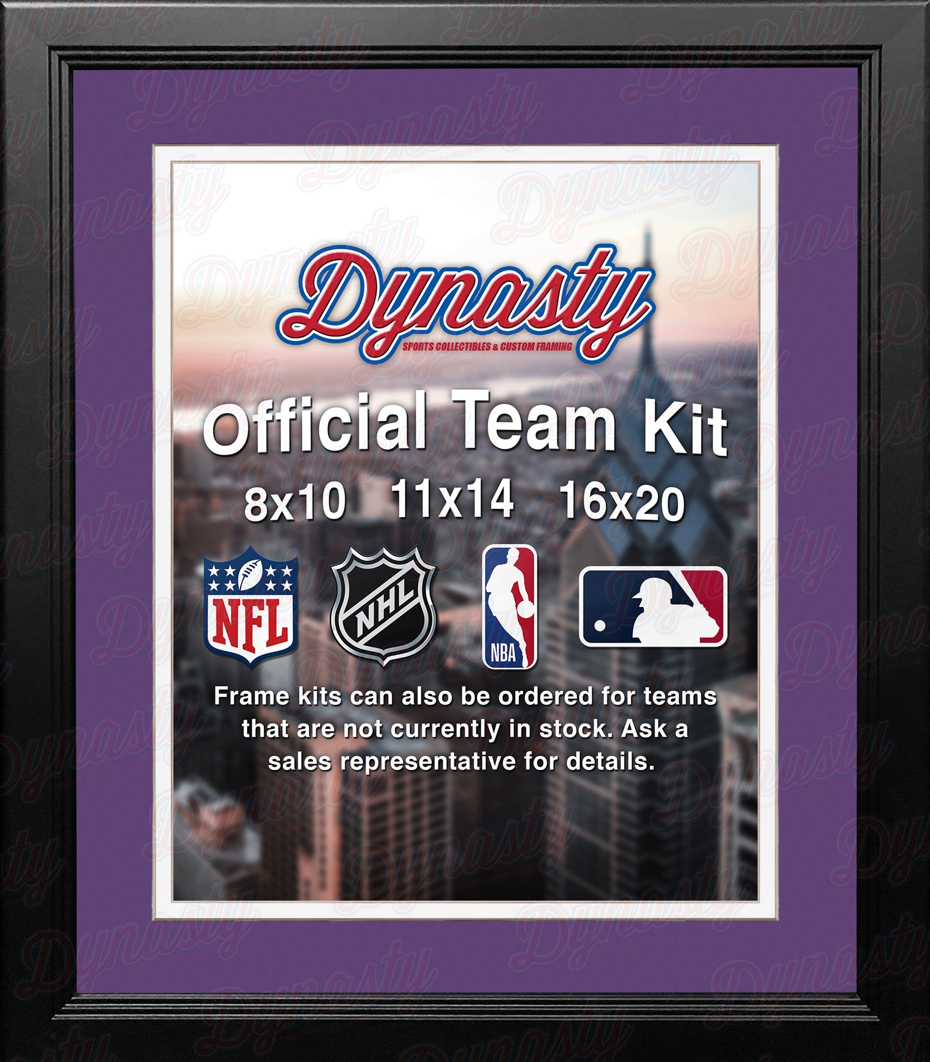 NBA Basketball Photo Picture Frame Kit - Charlotte Hornets (Purple Matting, White Trim) - Sports Collectibles, Sports Memorabilia, Sports Fan Shop, Sports Gifts