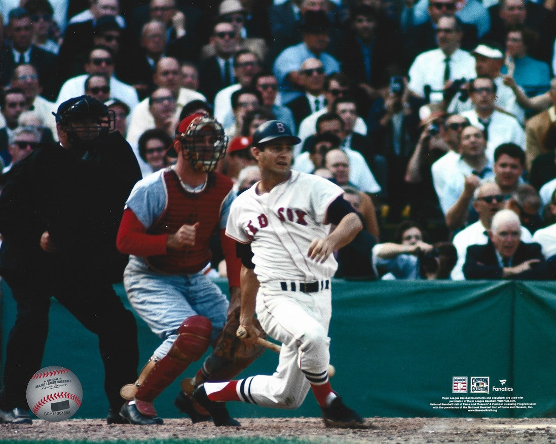 Carl Yastrzemski in Action Boston Red Sox 8" x 10" Baseball Photo - Sports Collectibles, Sports Memorabilia, Sports Fan Shop, Sports Gifts