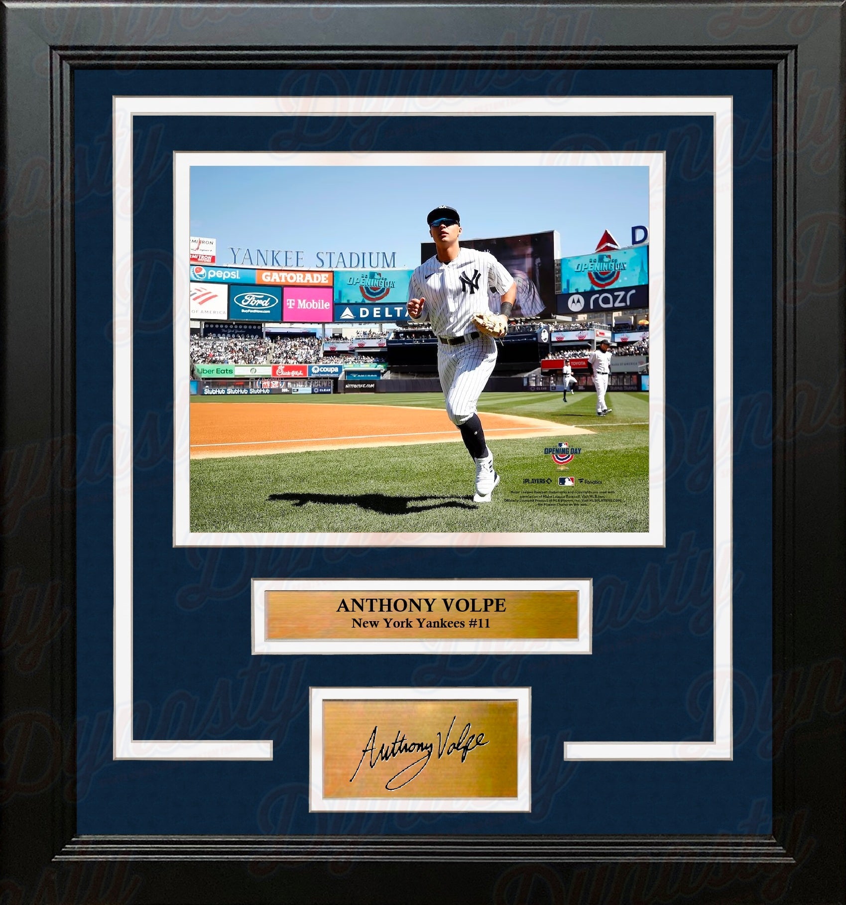 Anthony Volpe Walks Onto the Field New York Yankees 8" x 10" Framed Photo with Engraved Autograph - Sports Gifts, Sports Memorabilia, Sports Collectibles, Fan Shop