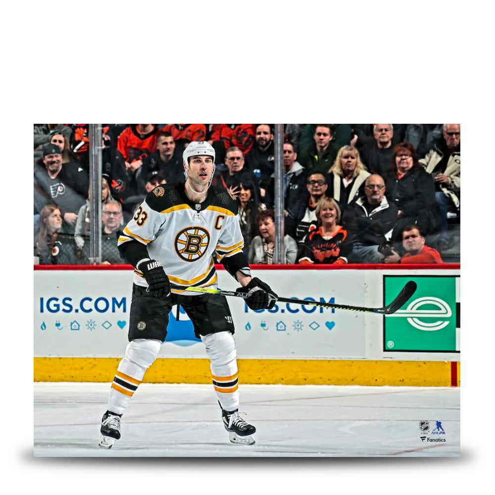 Zdeno Chara in Action Boston Bruins 8" x 10" Hockey Photo - Sports Collectibles, Sports Memorabilia, Sports Fan Shop, Sports Gifts