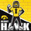 Iowa Hawkeyes - NCAA Mascot 100 Piece Jigsaw Puzzle