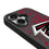 Atlanta Falcons Paisley Bump Phone Case
