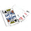 Indianapolis Colts 300 Piece Poker Set - 757 Sports Collectibles