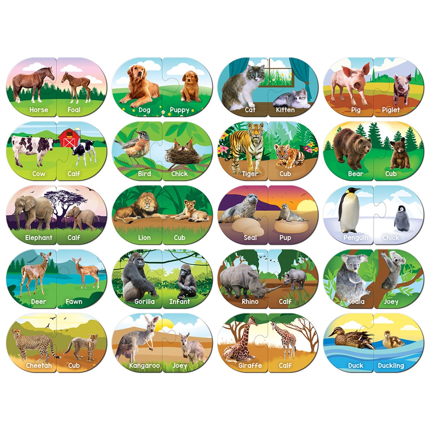 Animals - Educational Matching Jigsaw Puzzles - 757 Sports Collectibles