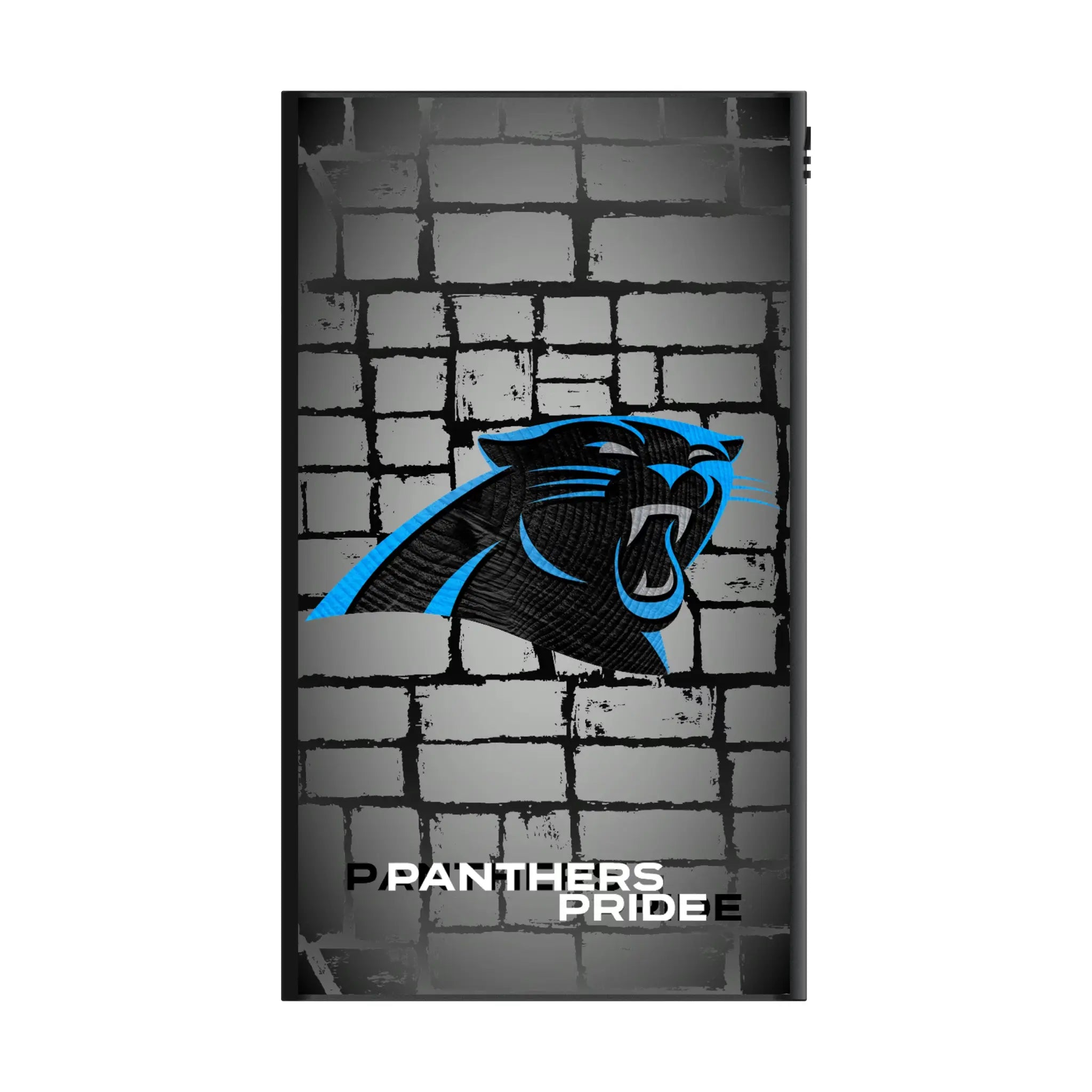 Carolina Panthers Brick 5000mAh Flat Powerbank
