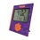 Clemson University Tigers Hatch Wall Clock