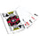 Georgia Bulldogs 300 Piece Poker Set - Ultimate Fan Game Night