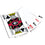 Georgia Bulldogs 300 Piece Poker Set - 757 Sports Collectibles