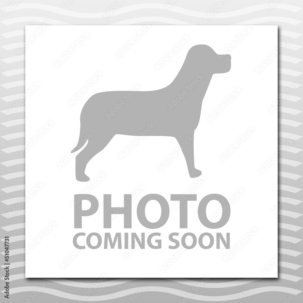 Window Bed Pets First - Sports Collectibles, Sports Memorabilia, Sports Fan Shop, Sports Gifts