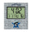 Dallas Cowboys 2024 Edition Wall Clock