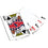 Houston Texans 300 Piece Poker Set - Ultimate Fan Game Night - Sports Gifts, Sports Memorabilia, Sports Collectibles, Fan Shop