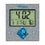 Detroit Lions 2024 Edition Wall Clock