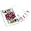Texas A&M Aggies 300 Piece Poker Set - Ultimate Fan Collection