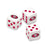 San Francisco 49ers 300 Piece Poker Set - Ultimate Fan Edition