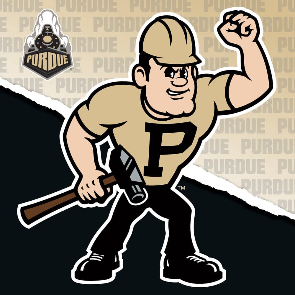 Purdue Boilermakers - NCAA Mascot 100 Piece Jigsaw Puzzle