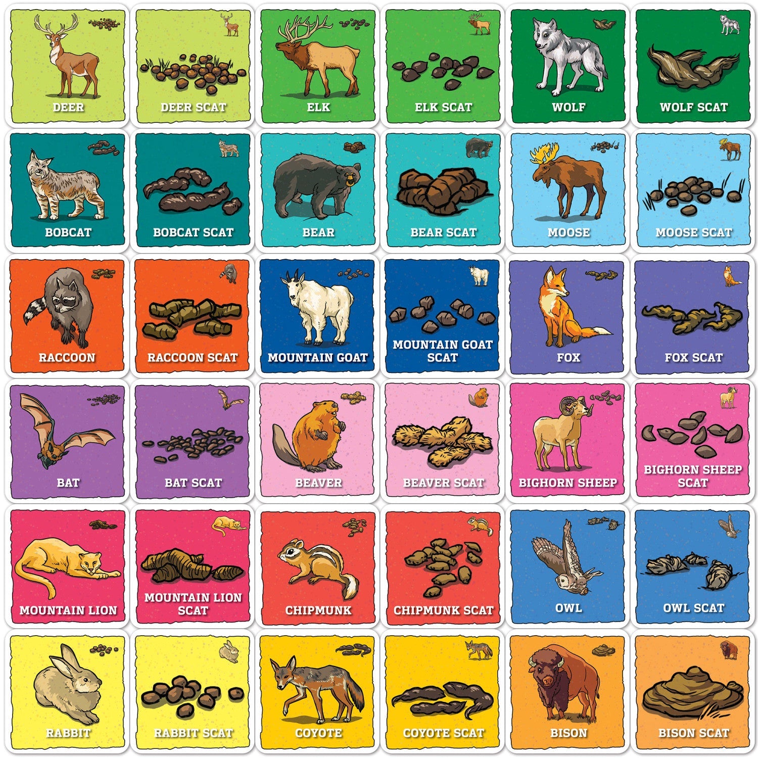 Jr. Ranger - Animal Poop Matching Game - 757 Sports Collectibles