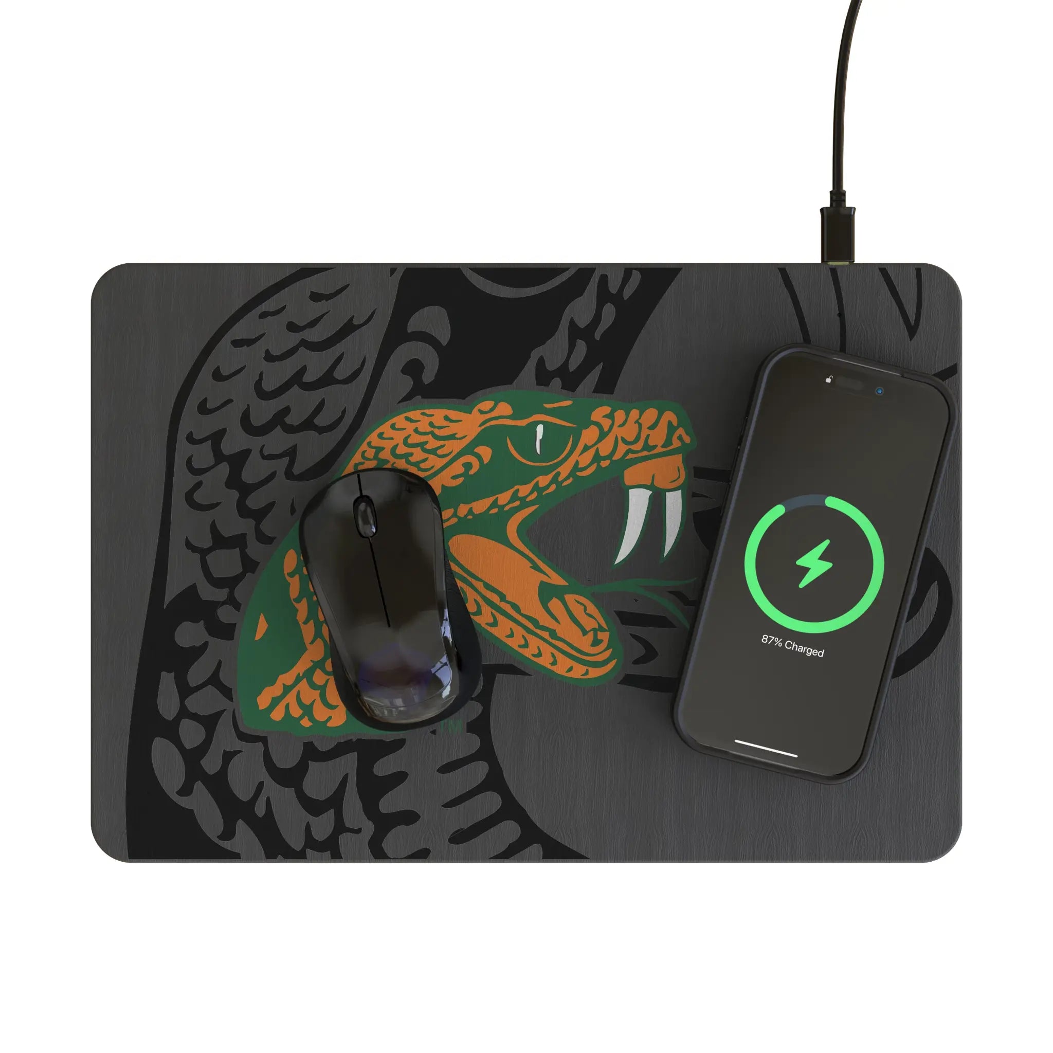 Florida A&M University Rattlers Monocolor Tilt 15-Watt Wireless Charger and Mouse Pad