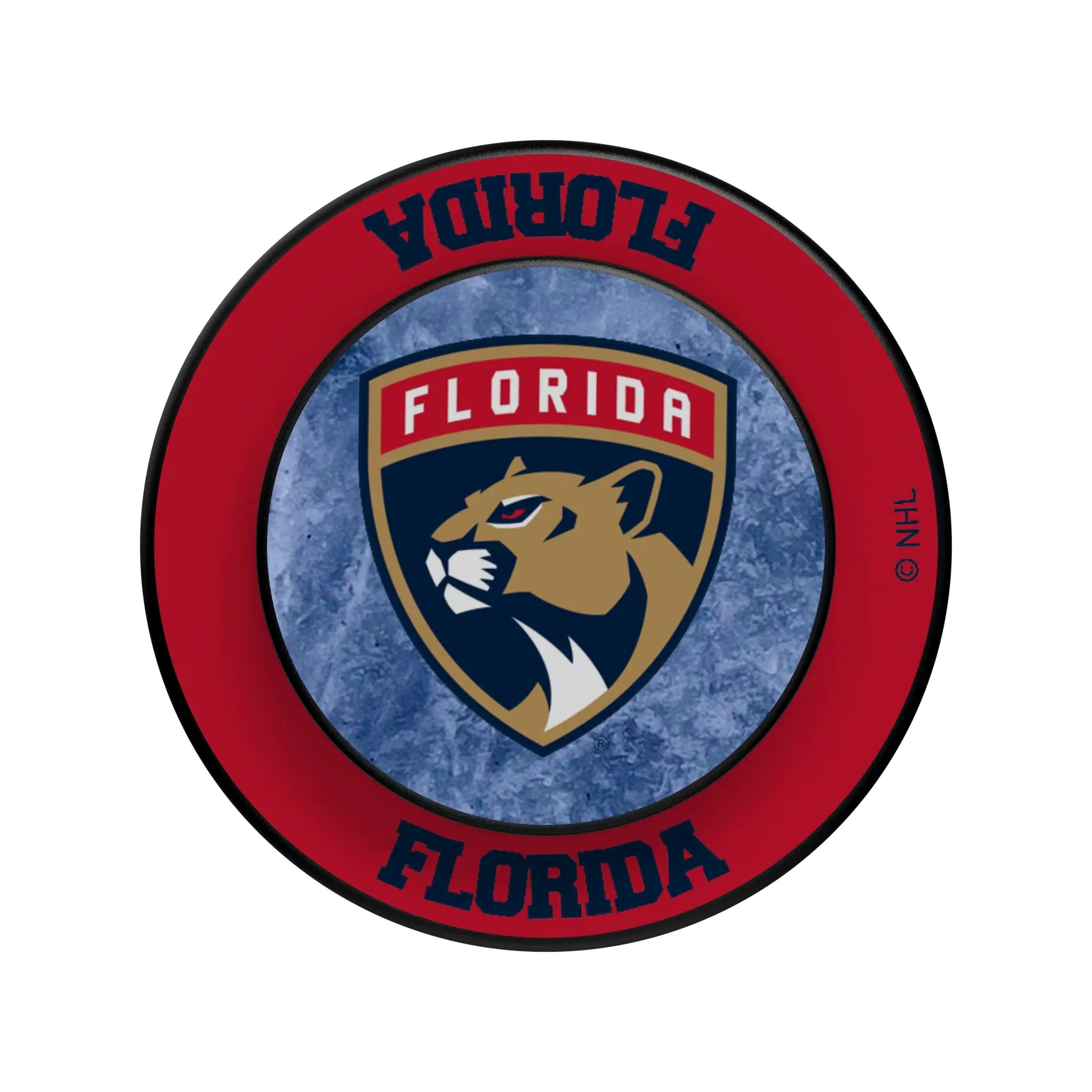 Florida Panthers Ice Wordmark PopSockets Magnetic Phone Grip and Stand