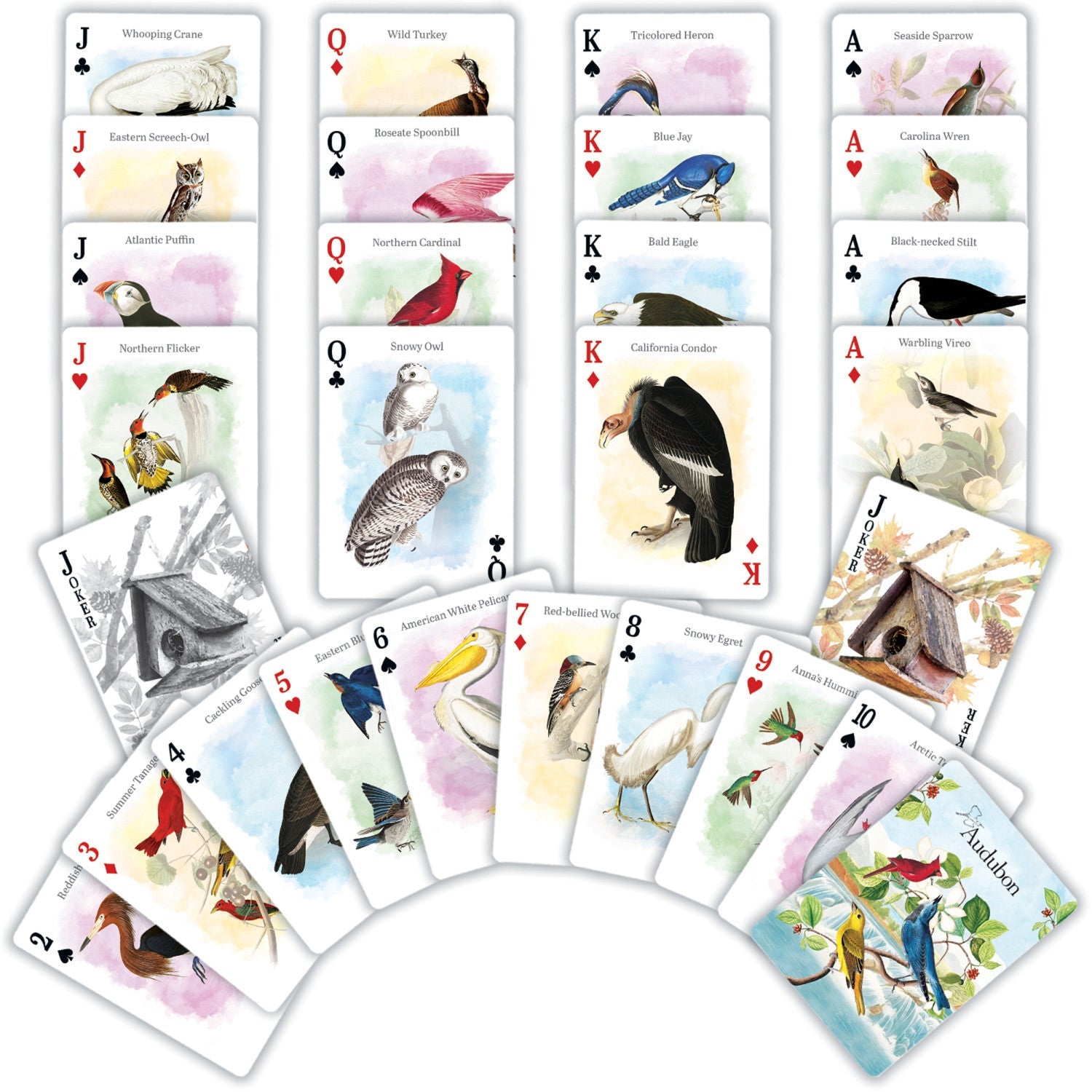 Audubon Playing Cards - 54 Card Deck - 757 Sports Collectibles