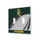 Green Bay Packers Historic Collection Passtime Hidden-Screw Light Switch Plate
