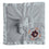 Auburn Tigers Security Bear in Gray - Sports Gifts, Sports Memorabilia, Sports Collectibles, Fan Shop
