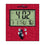 Houston Texans 2024 Edition Wall Clock