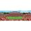 NC State Wolfpack 1000 Piece Panoramic Jigsaw Puzzle - Sports Gifts, Sports Memorabilia, Sports Collectibles, Fan Shop