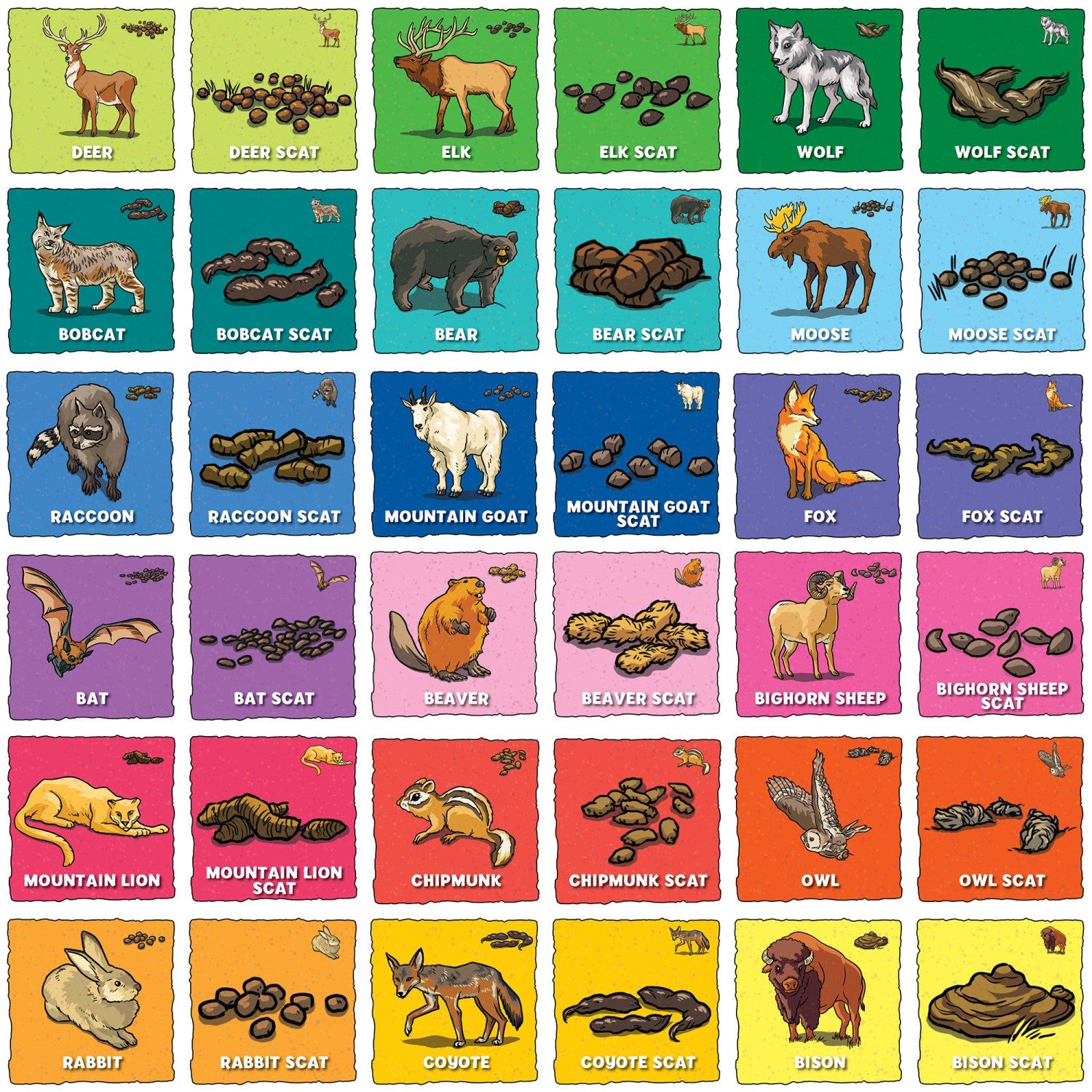 Animal Poop Matching Game - 757 Sports Collectibles