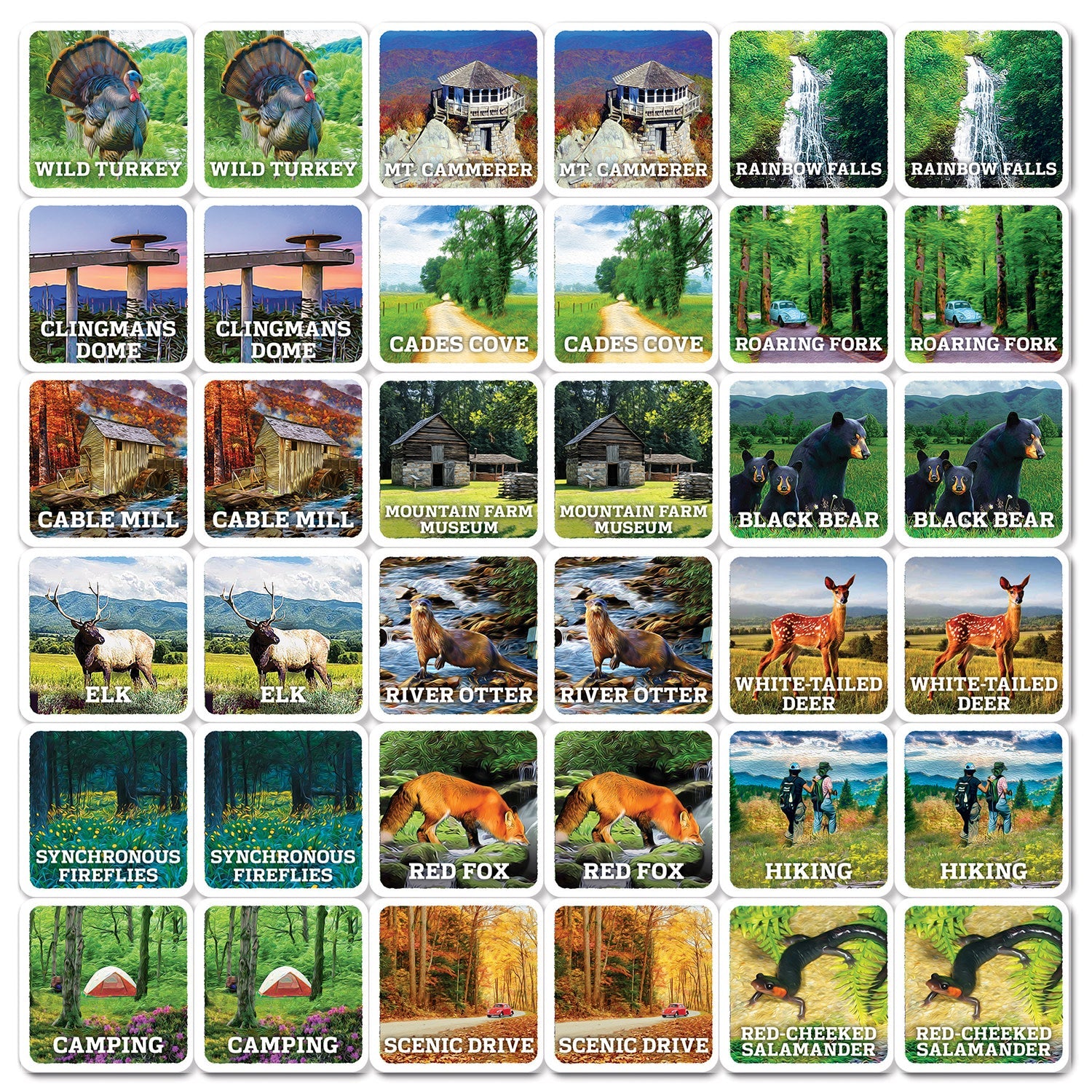 Jr. Ranger - Great Smoky Mountains Matching Game - 757 Sports Collectibles
