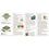 Jr. Ranger - National Parks Opoly Junior - 757 Sports Collectibles