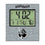 Las Vegas Raiders 2024 Edition Wall Clock