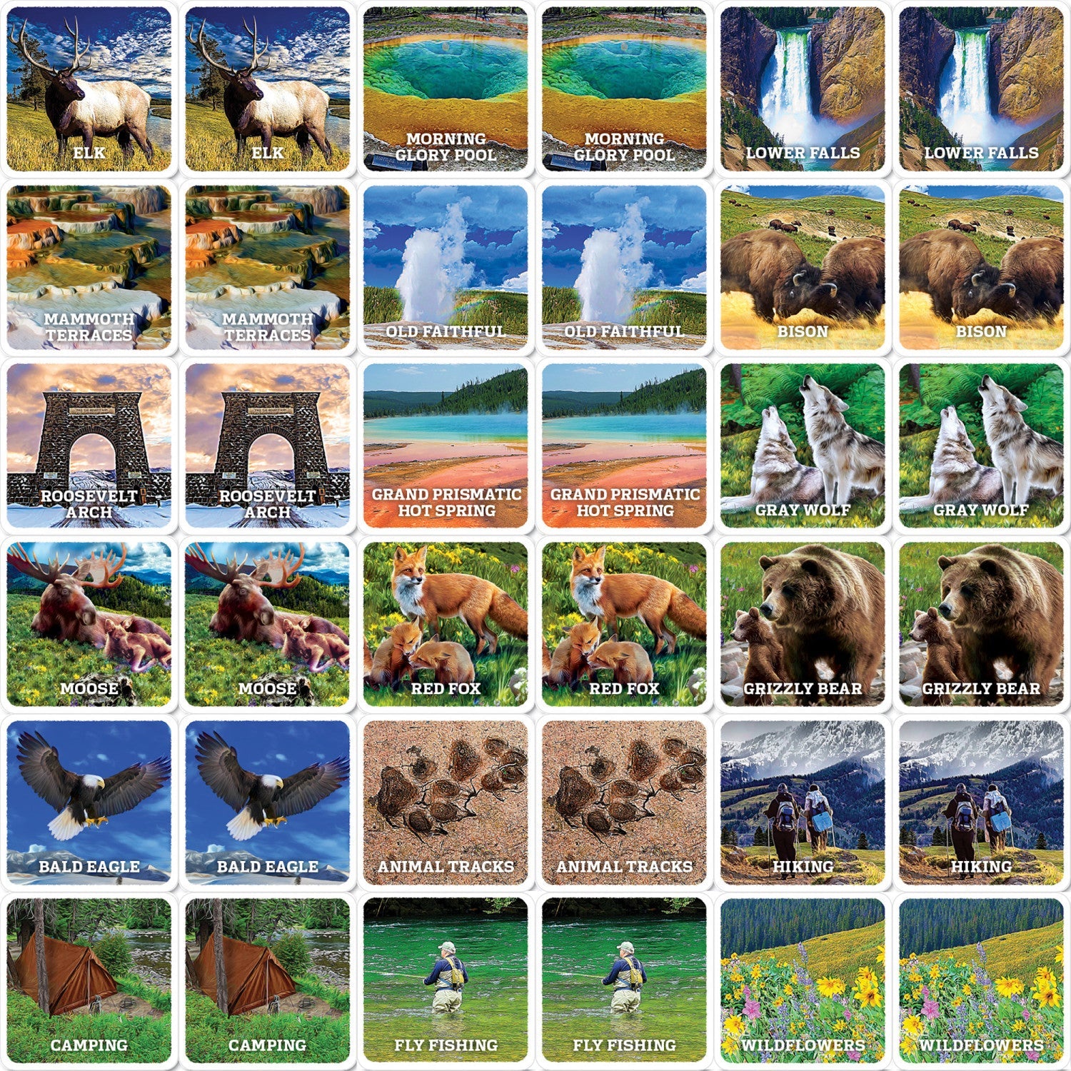 Jr. Ranger - Yellowstone Matching Game - 757 Sports Collectibles
