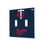 Minnesota Twins Solid Hidden-Screw Light Switch Plate