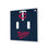 Minnesota Twins Solid Hidden-Screw Light Switch Plate