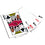 Arizona Cardinals 300 Piece Poker Set - 757 Sports Collectibles