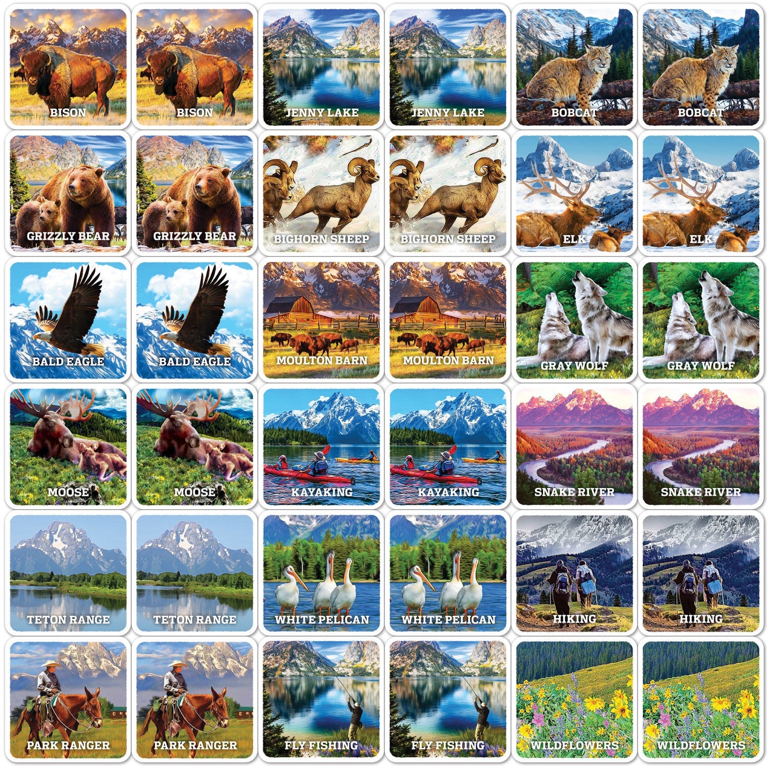 Jr. Ranger - Grand Teton Matching Game - 757 Sports Collectibles