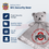 Ohio State Buckeyes Security Bear - Gray - Sports Gifts, Sports Memorabilia, Sports Collectibles, Fan Shop