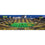 Iowa Hawkeyes 1000 Piece Panoramic Jigsaw Puzzle - Sports Gifts, Sports Memorabilia, Sports Collectibles, Fan Shop