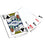 Seattle Seahawks 300 Piece Poker Set - Ultimate Fan Edition - Sports Gifts, Sports Memorabilia, Sports Collectibles, Fan Shop